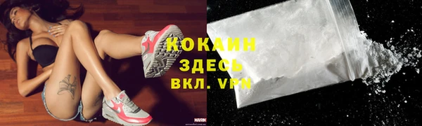 PSILOCYBIN Покров